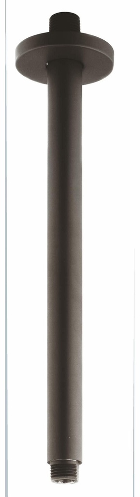 RAINSHOWER CEILING SHOWER ARM NPT US
