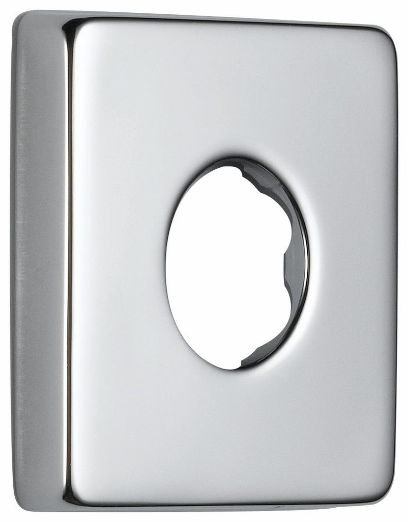 Shower Flange