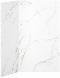 [3747861] 48 x 36 2-Panel Shower Wall Kit for Corner Installation