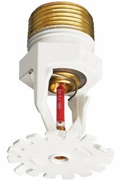 [6677585] 3/4" Standard Response ECOH K14 286F Upright Brass Sprinkler FireLock V3425
