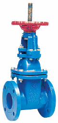 [6917200] 21/2 408 OS&Y-RW-CFLANGED GATE VALVE