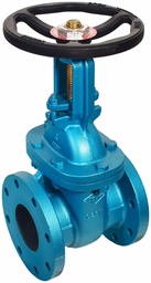 [5993490] 2-1/2 FLG R+W GATE VALVE 421JA