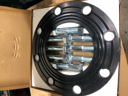 [7397205] 6" FLANGED NUT BOLT AND GASKET SET