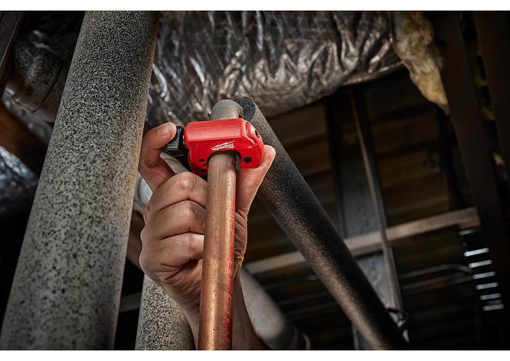 Gallery Image 6 - 4526974