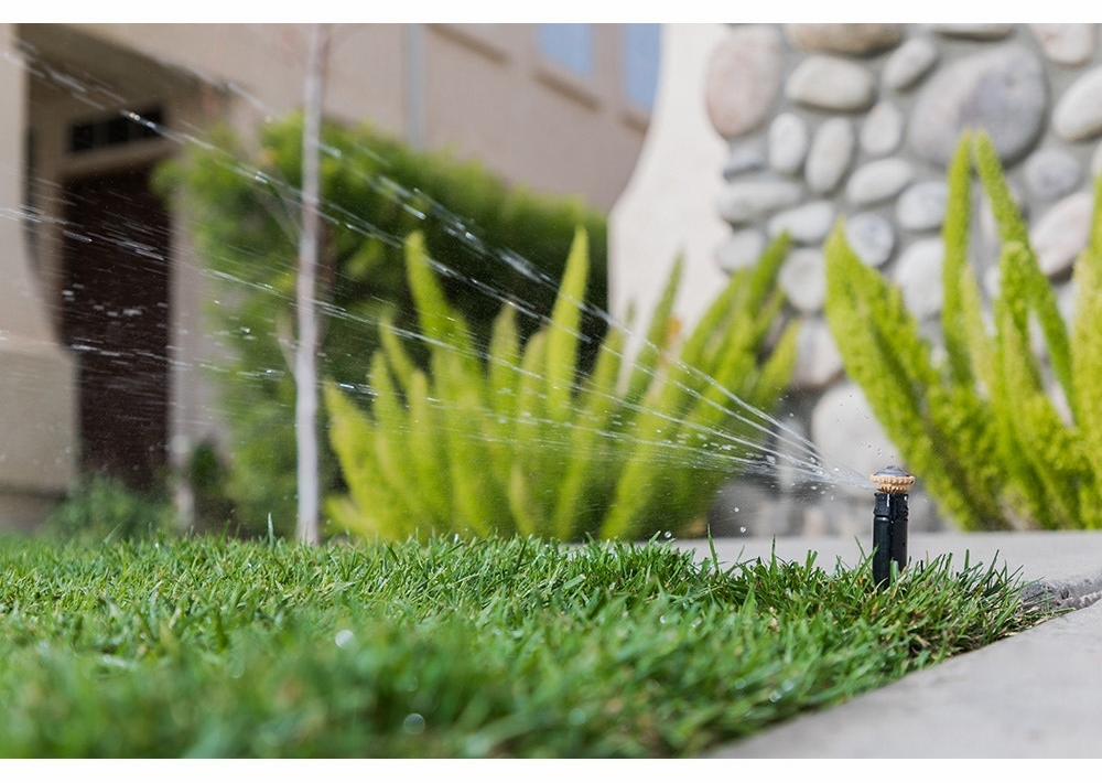 Gallery Image 5 - 4621578