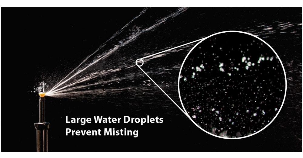 Gallery Image 4 - 4621579