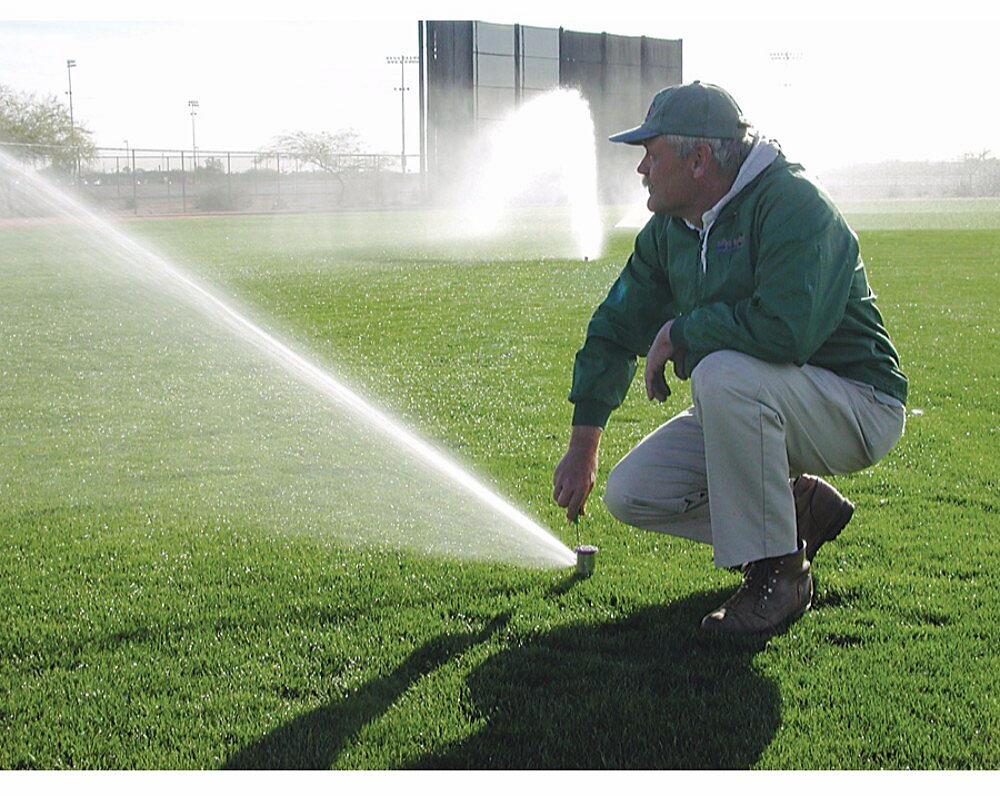 Gallery Image 4 - 4620785