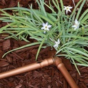 Gallery Image 3 - 4625113