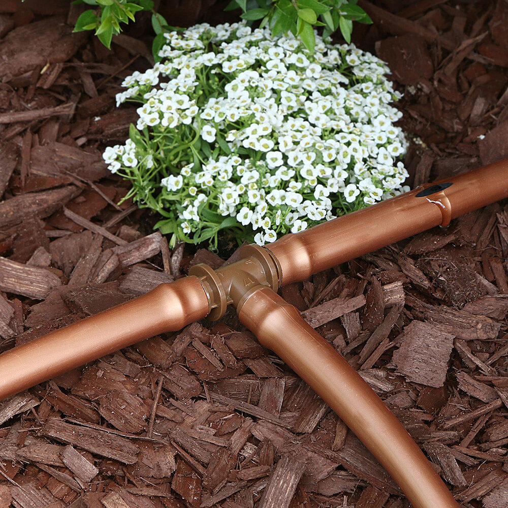 Gallery Image 4 - 4625113