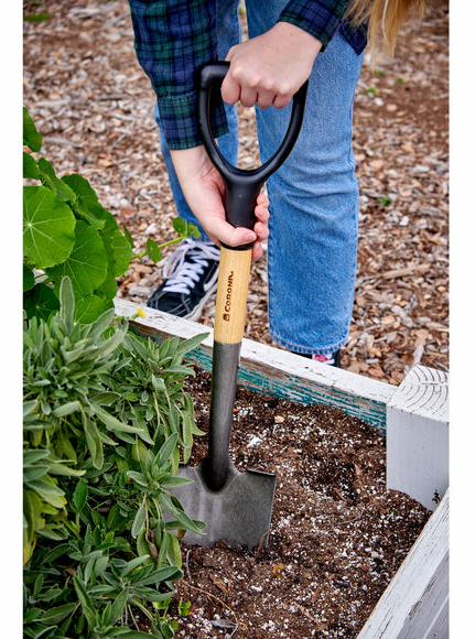 Gallery Image 4 - 5431007