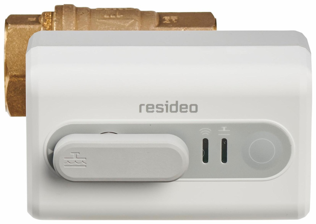 Gallery Image 4 - 3975912