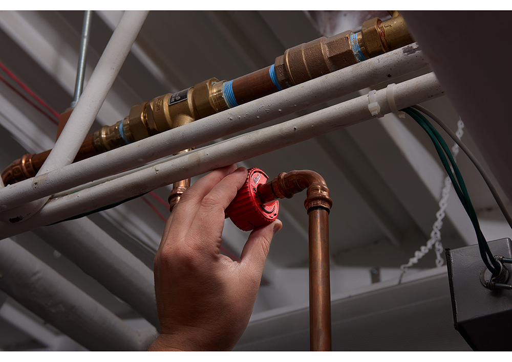 Gallery Image 4 - 4526981