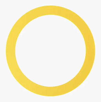 Toilet Canister Replacement Seal