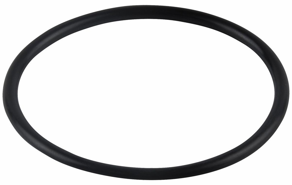 AQUARIAN II SPOUT 'O' RING