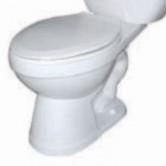 Chasm Elongated Toilet Bowl
