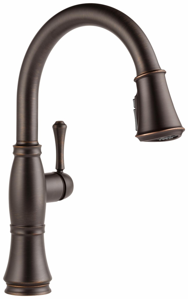 Cassidy Kitchen Faucet with Pulldown Spray