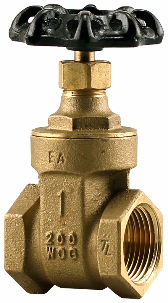 0818-10NL - 'No Lead 1" FPT G.V. 200 Wog'