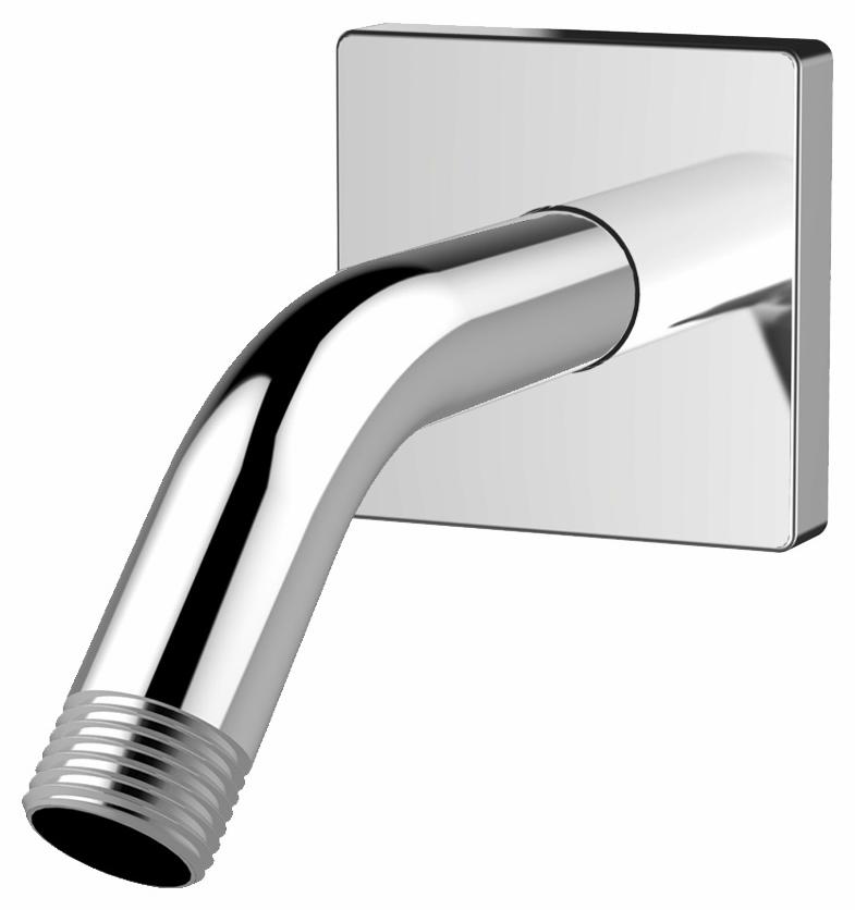 Duro Shower Arm and Flange