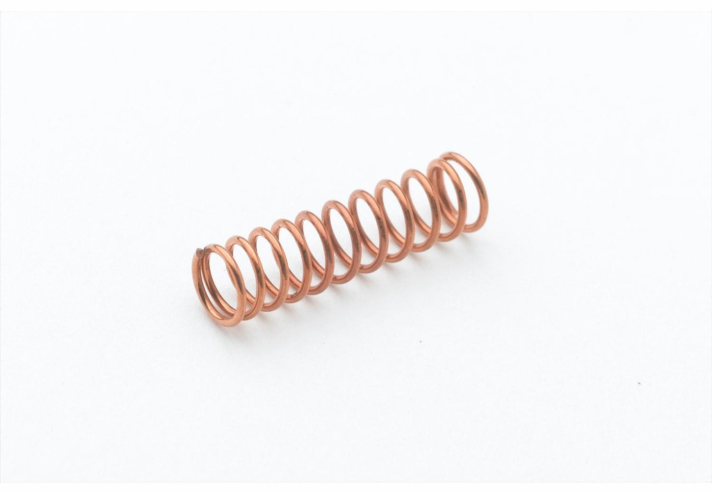 Spring for Eterna Cartridge With Spring Checks