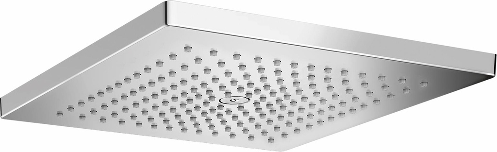 Raindance E 300 1-Function Shower Head