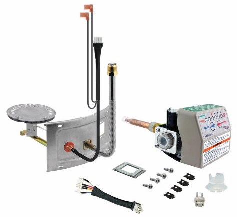 GAS CONTROL/BURN ASSM-NG