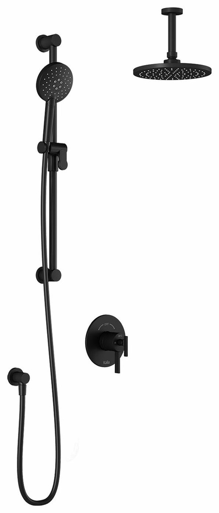 RoundOne TCD1 Thermostatic Coaxial Shower System with Vertical Ceiling Arm