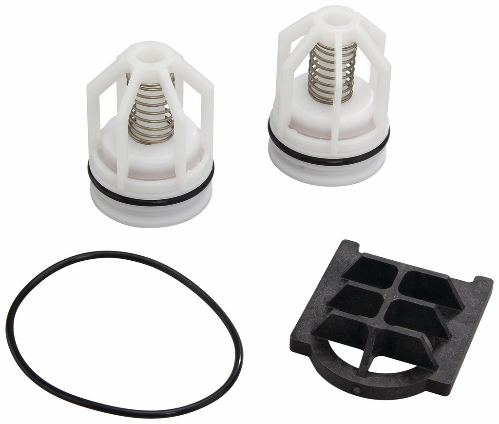 3/4 And 1 In RK 007M1-T 3/4-1 Total Valve Repair Kit