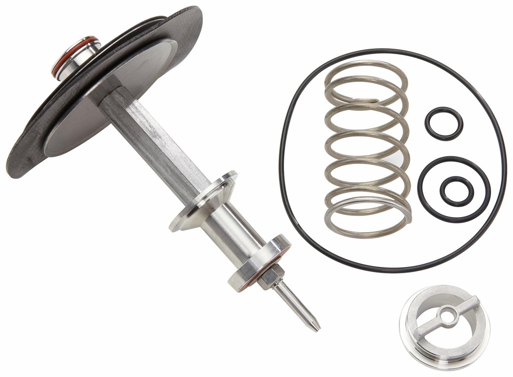 2-1/2 And 3 In LFRK 009-VT 2 1/2-3 Total Relief Valve Repair Kit