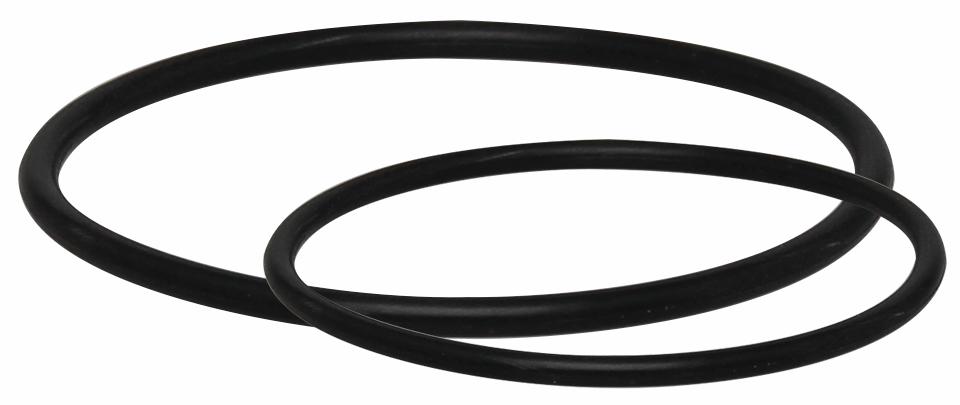 14SF-ORK20 - '2"Sed Filter O-Rng Kit 220/232'
