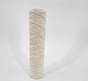 10" filter replacement, 5-micron (30 per box)