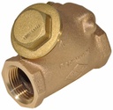 1 IP R+W SWING CHECK VALVE 236