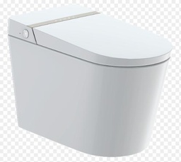[2531500] Intelligent 1-Piece Dual Flush Elongated Bidet Toilet