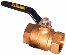 [6913060] 1/2 In LFFBV-M 1/2 A Test Cock