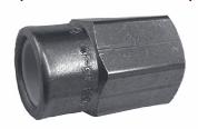 [3251070] 3/4 CPVC SCKTXBRASS FPT
