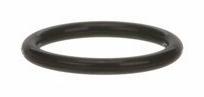 [3689032] O ring, All Water Heaters 2 KT
