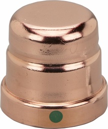 [6513560] 4 P/P C CAPS XLC