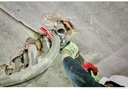 Gallery Image 5 - 4518981