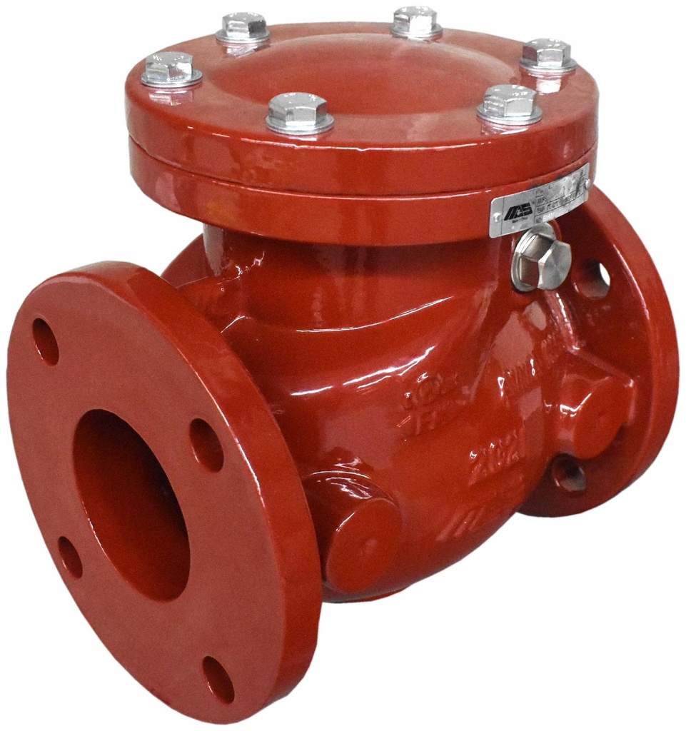 079-30020 MAS W30-A-RD-FF 6 300PSI DI FLG RES SWING CHECK