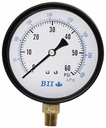 PG40-60NL - 'No Lead 4"Dry 1/4"Lm 0-60'