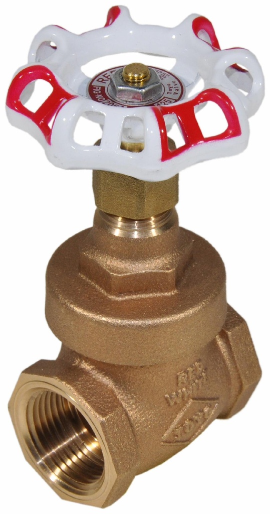 2 IP R+W GATE VALVE 206A