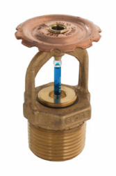 [6677483] 3/4" FL-ECOH 155F Upright Sprinkler Head Brass FireLock V1121