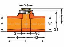 [3270296] 3/4X1/2 CPVC FlameGuard Sprinkler Head Tee SOCXBRGFPT