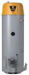 [5962605] 50 USG CYCLONE HE NATURAL GAS BTX 80