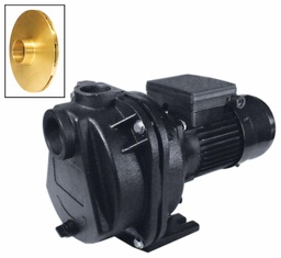 [1519860] 1.5HP IRRIGATION PUMP 230V 700506