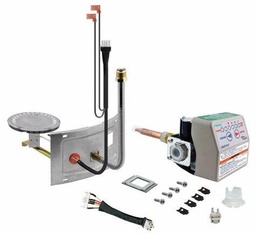 [4826556] GAS CONTROL/BURN ASSM-NG