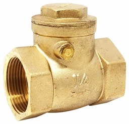 [6028200] 1/2 BRS NPT SWING CHK VALVE 200