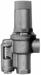 [3979062] Differential Pressure Regulator